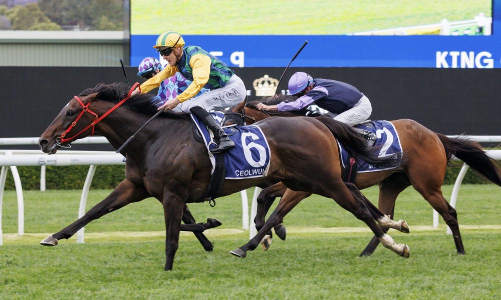 久保建英愈 久保建英愈